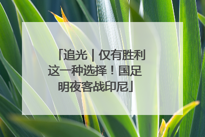 追光｜仅有胜利这一种选择！国足明夜客战印尼
