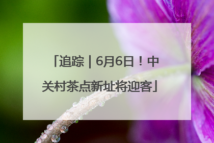 追踪｜6月6日！中关村茶点新址将迎客