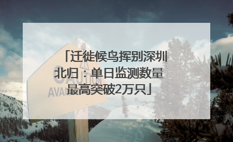迁徙候鸟挥别深圳北归：单日监测数量最高突破2万只
