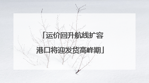 运价回升航线扩容 港口将迎发货高峰期