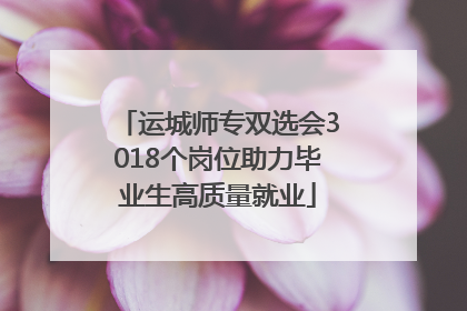 运城师专双选会3018个岗位助力毕业生高质量就业