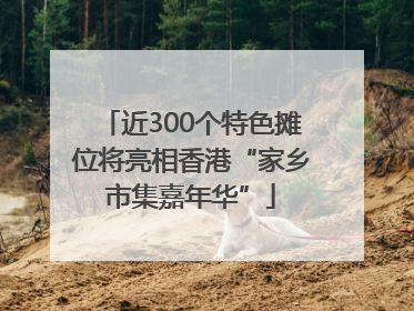 近300个特色摊位将亮相香港“家乡市集嘉年华”