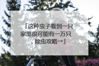 这种虫子看到一只家里很可能有一万只，除虫攻略→