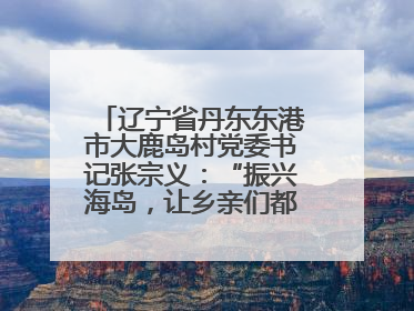 辽宁省丹东东港市大鹿岛村党委书记张宗义：“振兴海岛，让乡亲们都过上好日子”