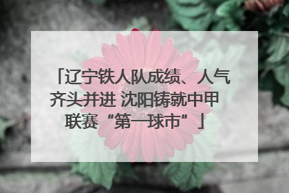 辽宁铁人队成绩、人气齐头并进 沈阳铸就中甲联赛“第一球市”