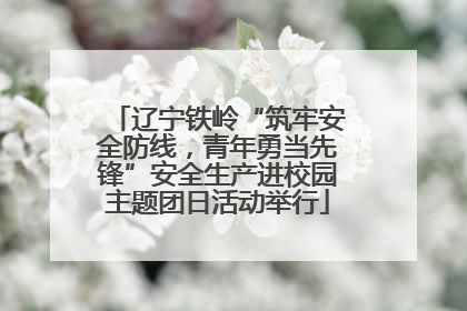 辽宁铁岭“筑牢安全防线，青年勇当先锋”安全生产进校园主题团日活动举行