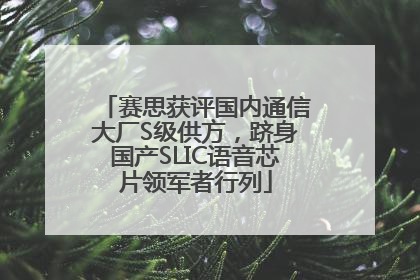 赛思获评国内通信大厂S级供方，跻身国产SLIC语音芯片领军者行列