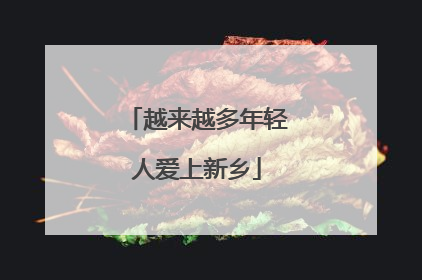越来越多年轻人爱上新乡