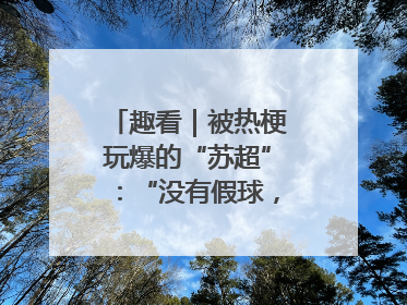 趣看｜被热梗玩爆的“苏超”：“没有假球，全是世仇”
