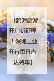 跨海旅游开启新征程！深圳三亚开行每日直达列车