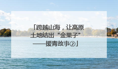 跨越山海，让高原土地结出“金果子”——援青故事②