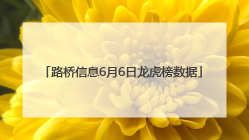 路桥信息6月6日龙虎榜数据
