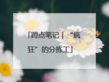 蹲点笔记｜“疯狂”的分拣工