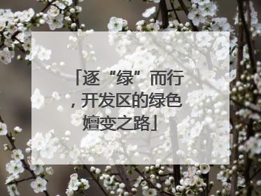 逐“绿”而行，开发区的绿色嬗变之路