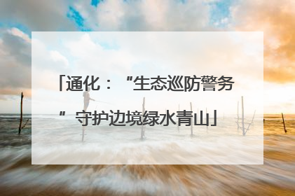 通化:“生态巡防警务”守护边境绿水青山