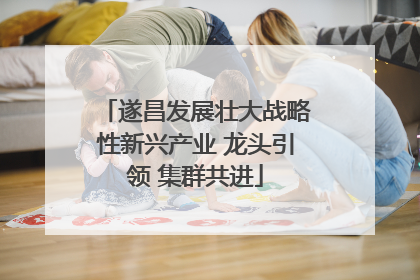 遂昌发展壮大战略性新兴产业 龙头引领 集群共进