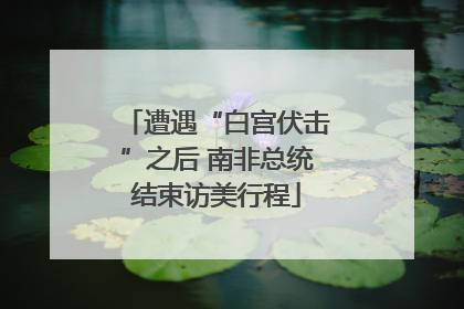 遭遇“白宫伏击”之后 南非总统结束访美行程