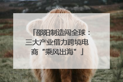 邵阳制造闯全球：三大产业借力跨境电商“乘风出海”