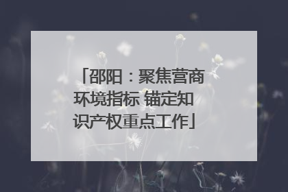 邵阳：聚焦营商环境指标 锚定知识产权重点工作