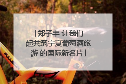郑子丰 让我们一起共筑宁夏葡萄酒旅游 的国际新名片