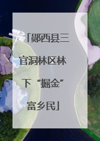 郧西县三官洞林区林下“掘金”富乡民