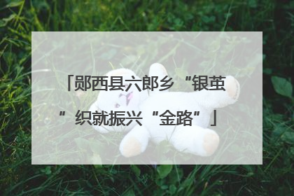 郧西县六郎乡“银茧”织就振兴“金路”