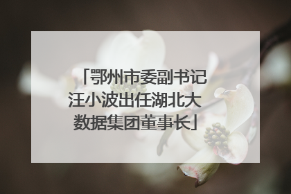 鄂州市委副书记汪小波出任湖北大数据集团董事长