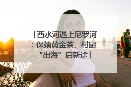 酉水河遇上尼罗河：保靖黄金茶、村厨“出海”启新途