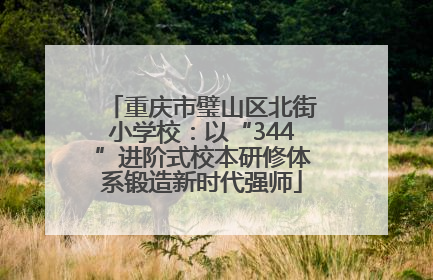 重庆市璧山区北街小学校：以“344”进阶式校本研修体系锻造新时代强师