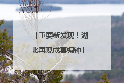 重要新发现！湖北再现成套编钟