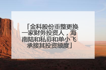 金科股份重整更换一家财务投资人，海南陆和私募和单小飞承接其投资额度