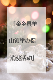 金乡县羊山镇举办促消费活动