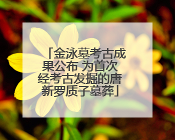 金泳墓考古成果公布 为首次经考古发掘的唐新罗质子墓葬