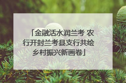 金融活水润兰考 农行开封兰考县支行共绘乡村振兴新画卷