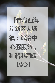 青岛西海岸新区大场镇：综治中心强服务，和谐港湾暖民心