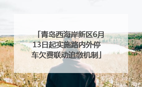 青岛西海岸新区6月13日起实施路内外停车欠费联动追缴机制