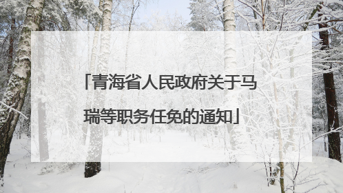 青海省人民政府关于马瑞等职务任免的通知