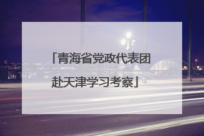 青海省党政代表团赴天津学习考察
