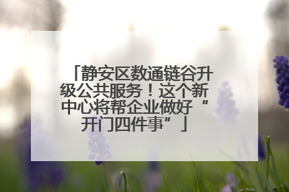 静安区数通链谷升级公共服务！这个新中心将帮企业做好“开门四件事”