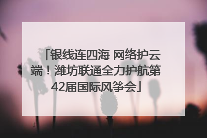银线连四海 网络护云端！潍坊联通全力护航第42届国际风筝会