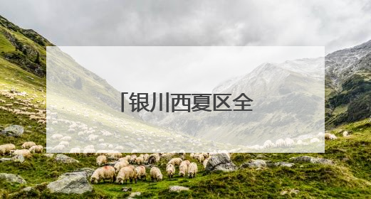 银川西夏区全力推进义务教育优质均衡发展