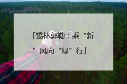 锡林郭勒：乘“新”风向“绿”行