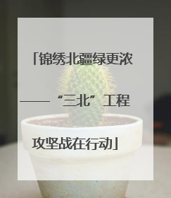 锦绣北疆绿更浓——“三北”工程攻坚战在行动