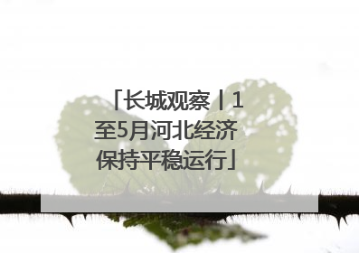 长城观察丨1至5月河北经济保持平稳运行