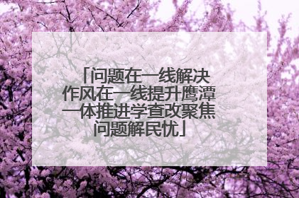 问题在一线解决 作风在一线提升鹰潭一体推进学查改聚焦问题解民忧