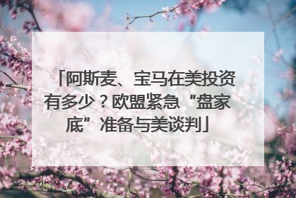 阿斯麦、宝马在美投资有多少？欧盟紧急“盘家底”准备与美谈判