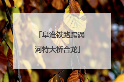 阜淮铁路跨涡河特大桥合龙