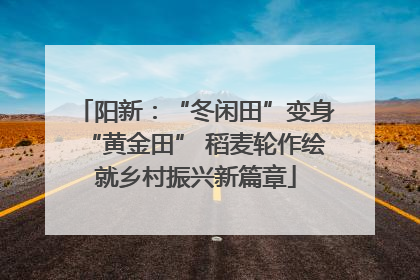 阳新：“冬闲田”变身“黄金田” 稻麦轮作绘就乡村振兴新篇章