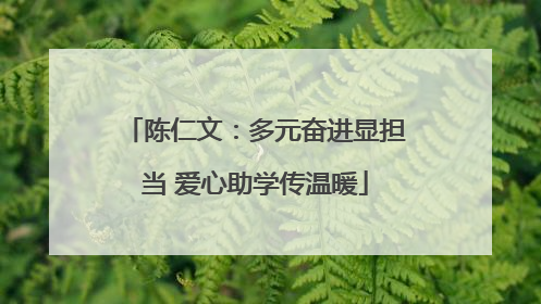 陈仁文：多元奋进显担当 爱心助学传温暖