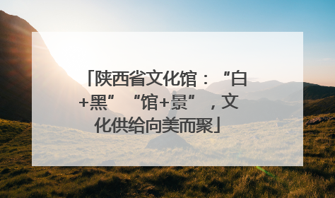 陕西省文化馆：“白+黑”“馆+景”，文化供给向美而聚